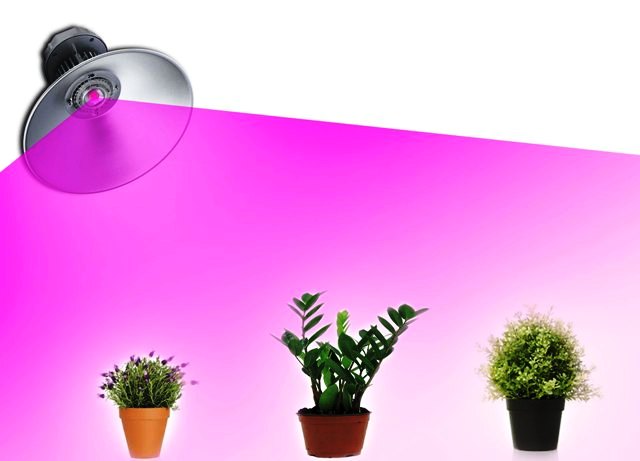 LED Камбана за Отглеждане на растения 50W